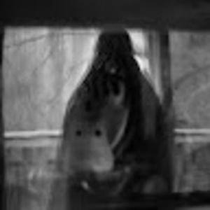 Meet your Posher, Luke